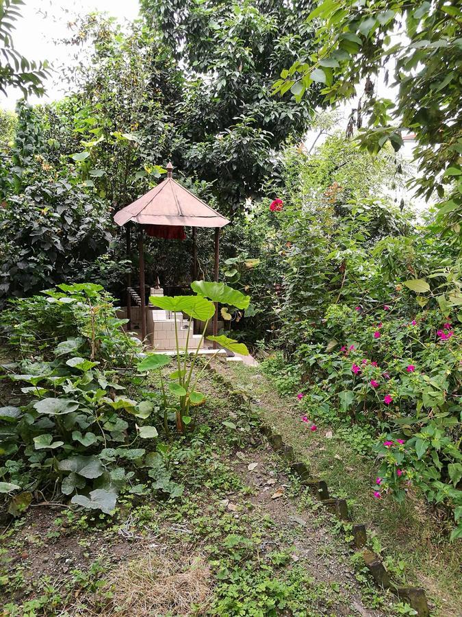 بيت شباب The Nepali Hive كاتماندو المظهر الخارجي الصورة
