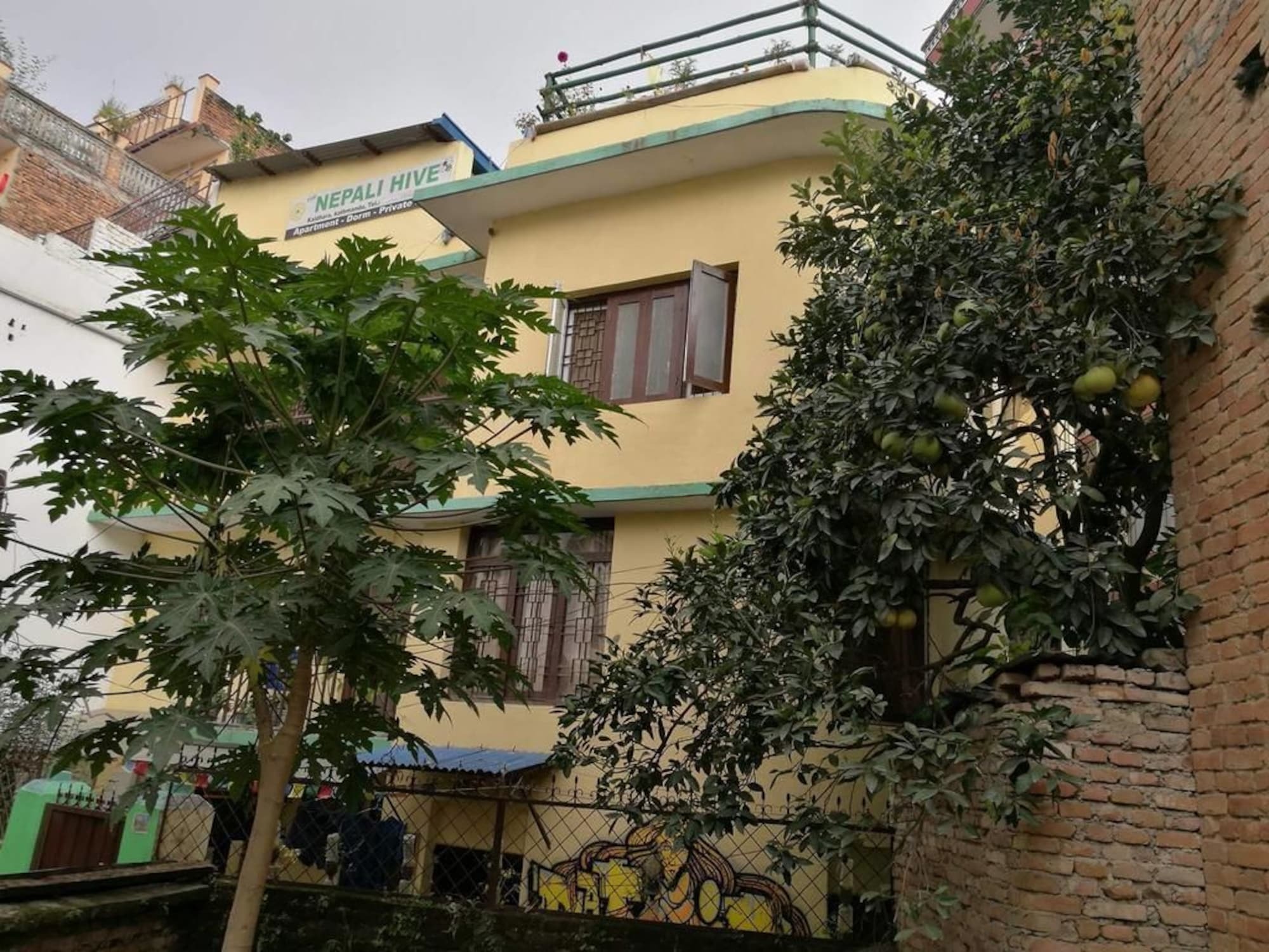 بيت شباب The Nepali Hive كاتماندو المظهر الخارجي الصورة